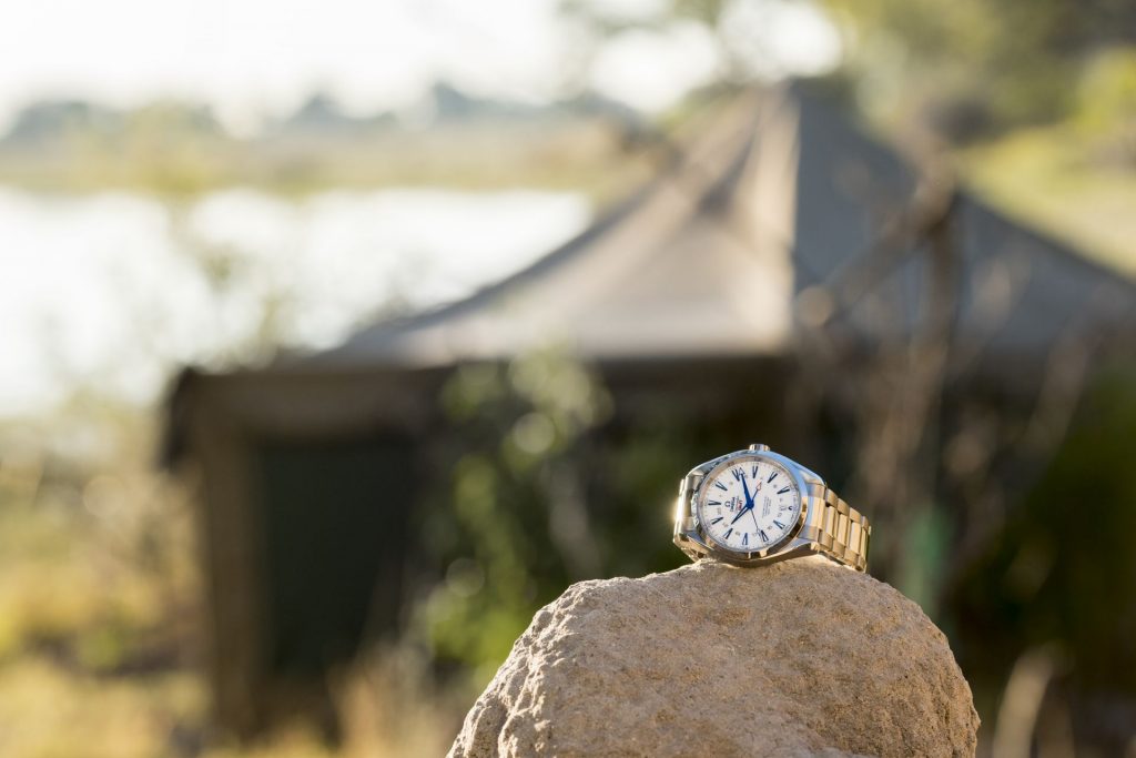 Omega_SeamasterAquaTerra7_Luxe