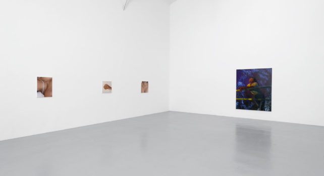 Intimités Contrariées : La Galerie Hussenot rassemble trois artistes de renom pour une exposition unique