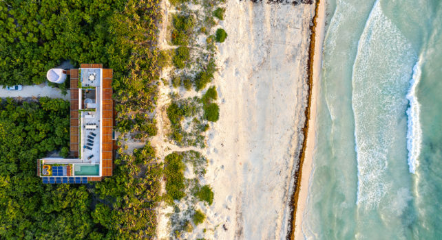 Casa Bautista : Immersion au cœur de la jungle mexicaine