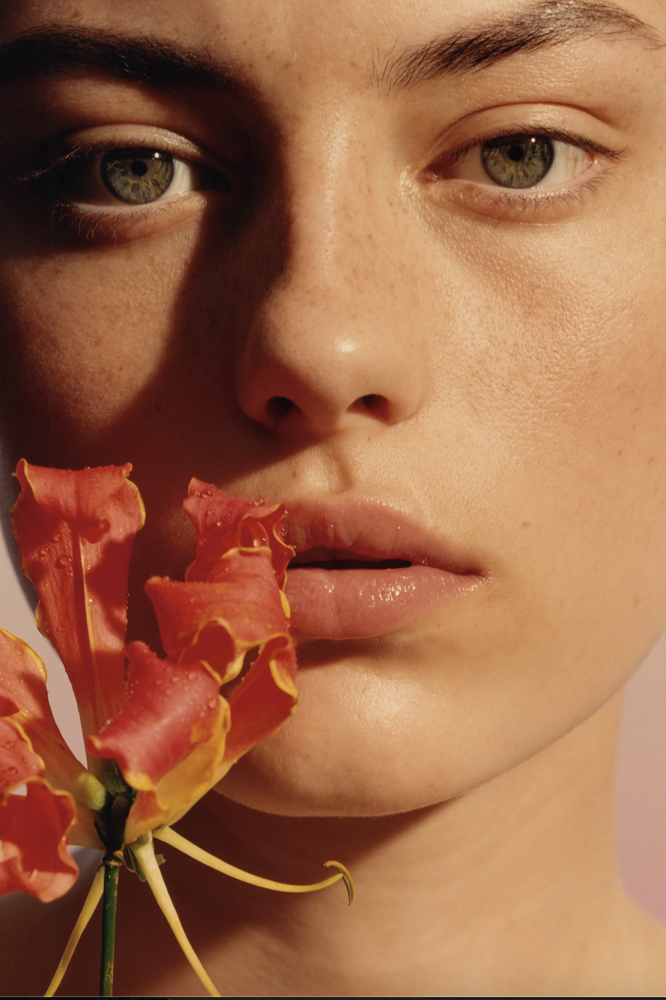 Beauté Luxe