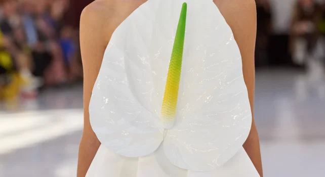 Loewe Printemps/Été 2023 : Provocation florale et géométrique
