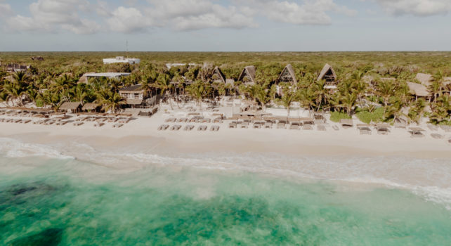 Papaya Playa Project : Interview exclusive avec Emilio Heredia – L&rsquo;homme derrière un lieu aux expériences sensorielles uniques à Tulum
