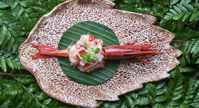 Amazonico London : L&rsquo;expérience culinaire exotique par excellence