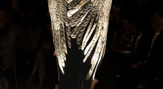 Schiaparelli « Le Phoenix » Haute Couture Automne/Hiver 2024 : Résurrection & Enigme