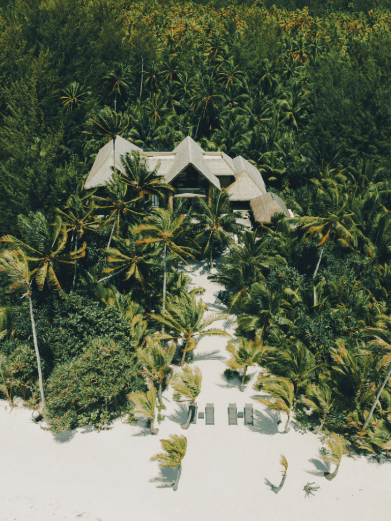 Hôtels de luxe : The Brando
