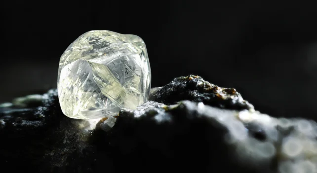 Natural Diamond Council : Amber Pepper, une nouvelle ère pour le diamant naturel