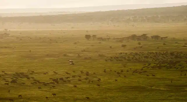 Auberge Safari : Le groupe Auberge Collection se dévoile sur le continent africain