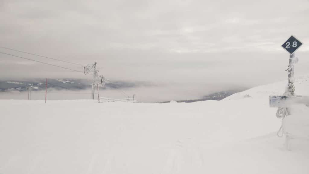 Ski - brouillard