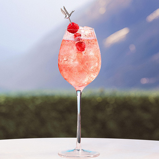 Grey Goose Berry Rouge : Le Goose Berry