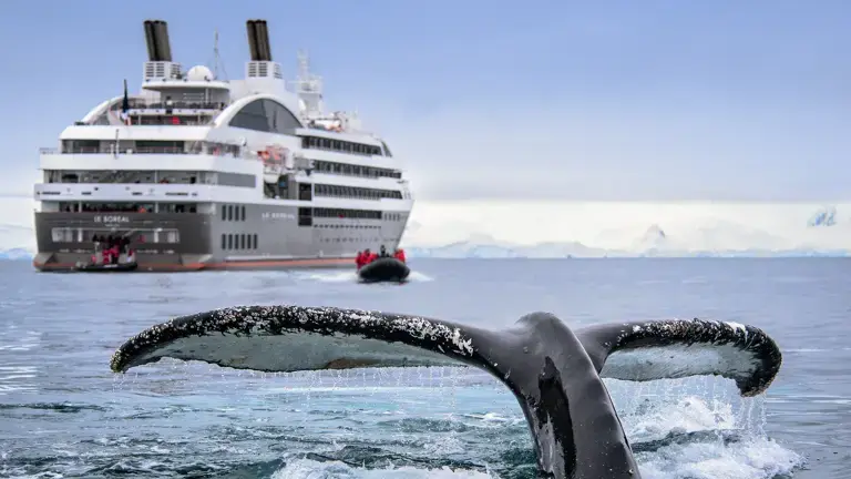 expériences à vivre au moins une fois dans sa vie : Naviguer jusqu'en Antarctique
