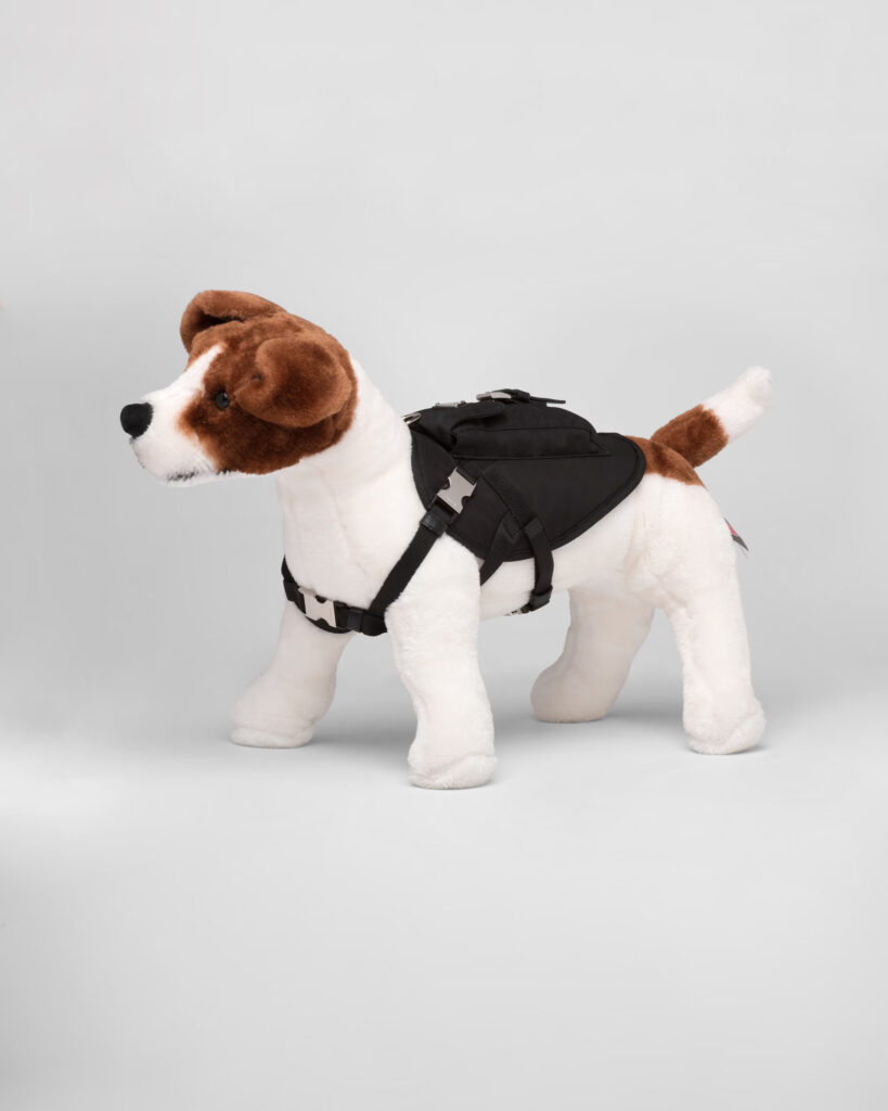 Vêtement de luxe pour chien