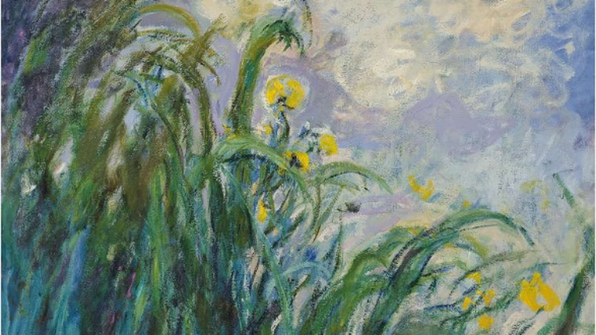 Iris Monet