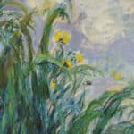 Sotheby’s dévoile Iris, un Monet resté quarante ans dans le noir, tête d’affiche de la collection Jeanne Schlumberger