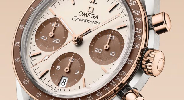 Les 10 Omega les plus désirables en 2026