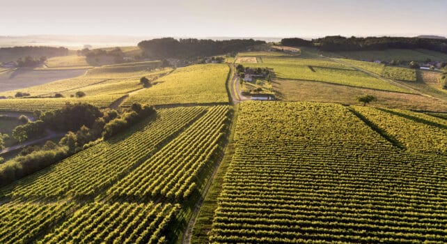 Moët Hennessy s&rsquo;allie à Analog Devices et à UC Davis pour détecter par l&rsquo;IA les défauts du vin
