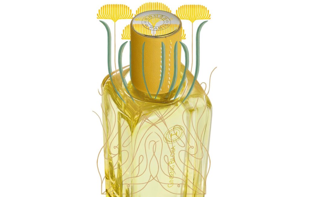 Hermessence Ginseng Biloba