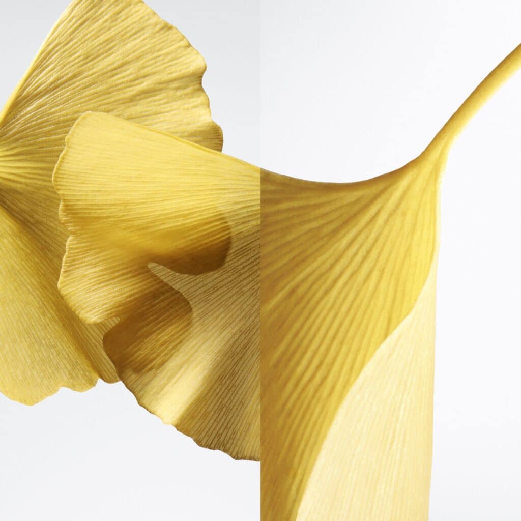 Hermessence Ginseng Biloba
